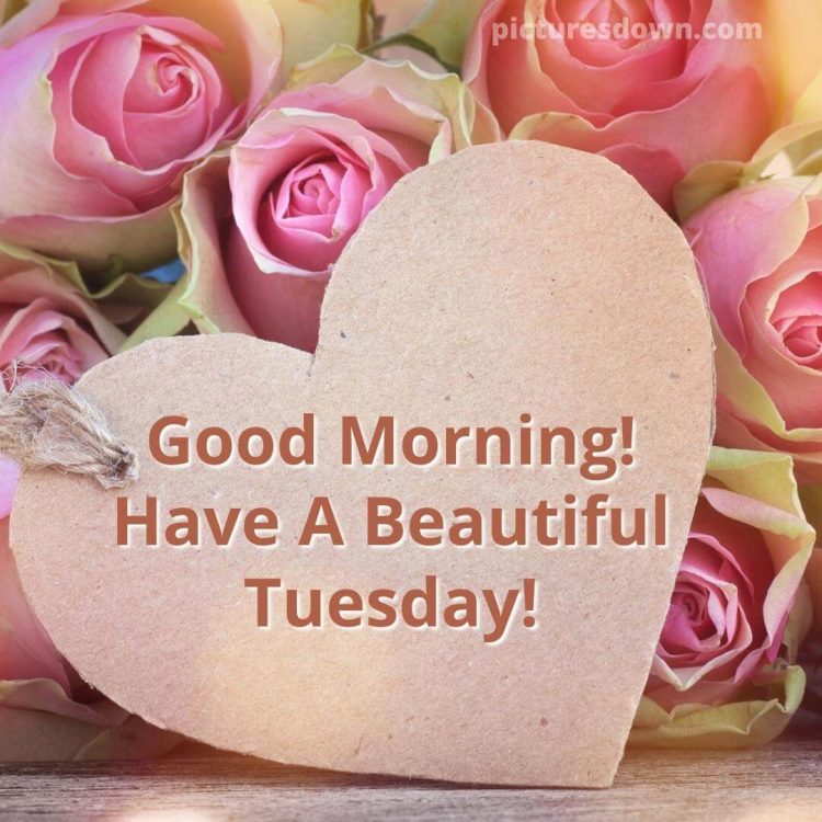 Good morning tuesday love image roses free download