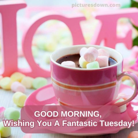 Good morning tuesday love image marshmallow free download