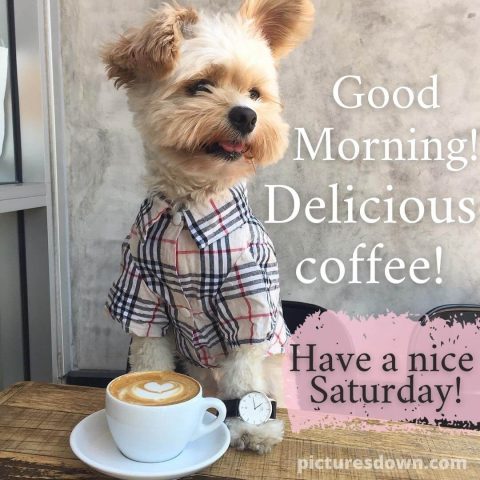 Good morning saturday coffee image curly doggy free download