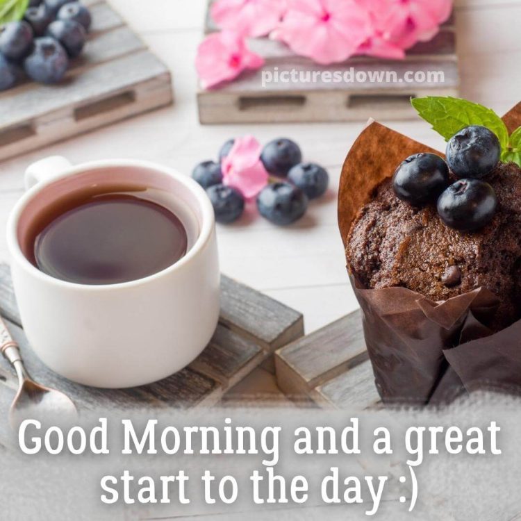 Saturday coffee image blueberry free download