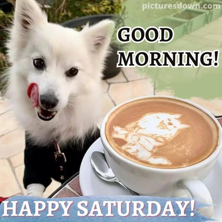 Good morning saturday coffee image dog free download