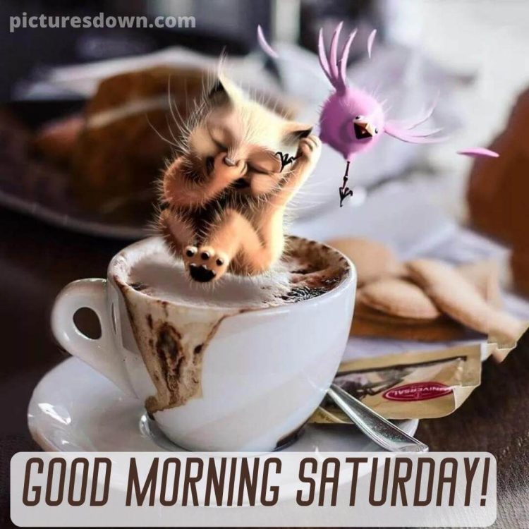 Good morning saturday coffee image cat and bird free download