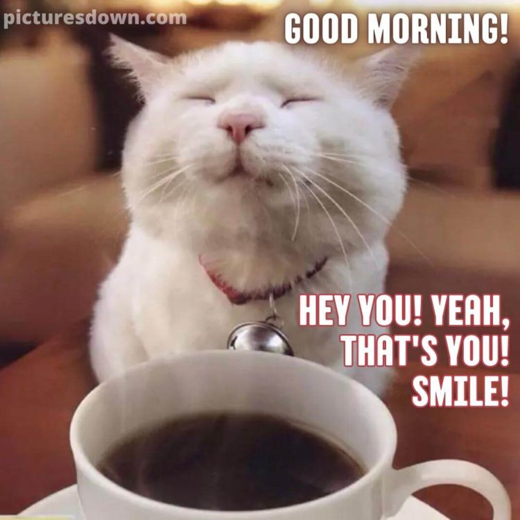 Saturday funny image cat and coffee free download