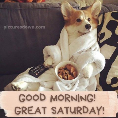Good morning saturday funny image dog in a coat free download