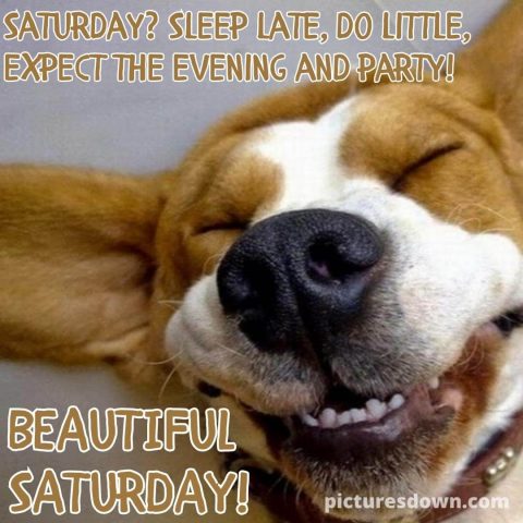 Good morning saturday funny picture dog free download