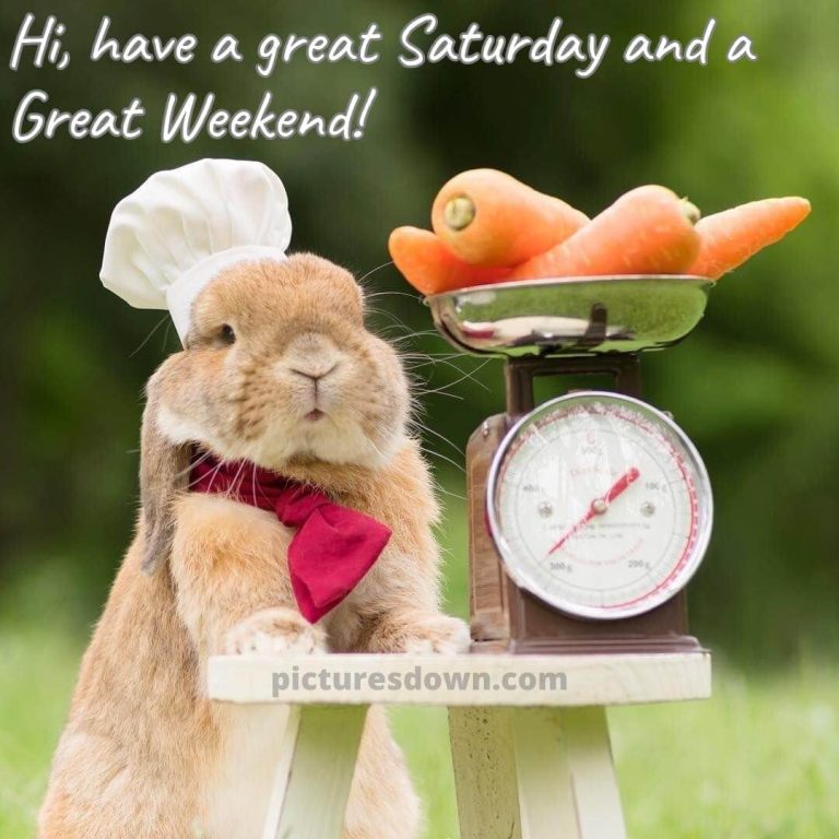 Good morning saturday images and pictures free download