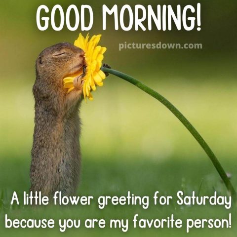 Good morning saturday image mouse and flower free download