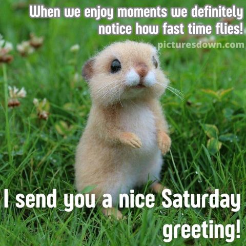 Good morning saturday image mouse free download