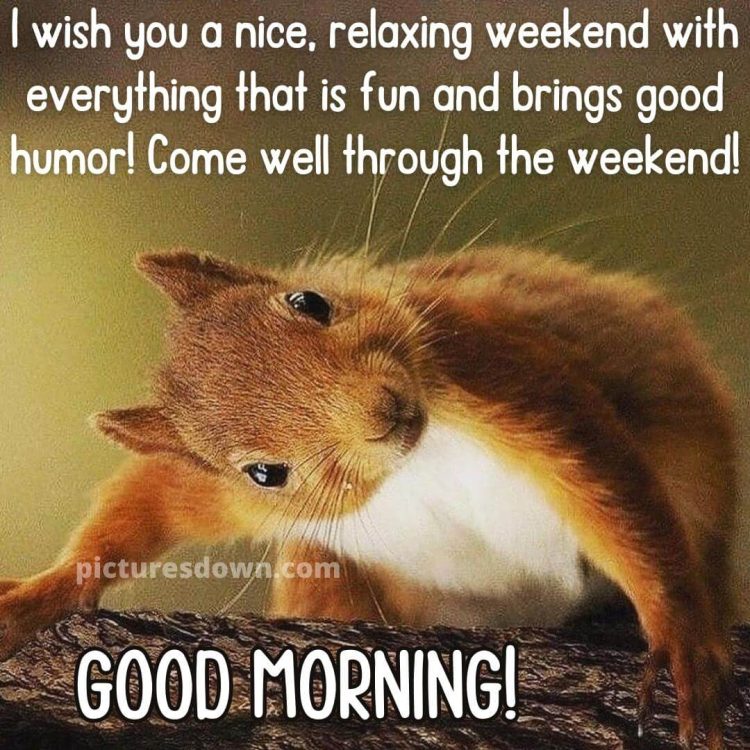Good morning saturday image cute squirrel free download