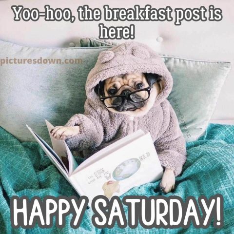Good morning saturday image dog with a book free download
