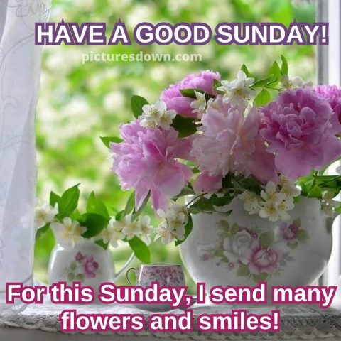 Good sunday morning image flowers free download