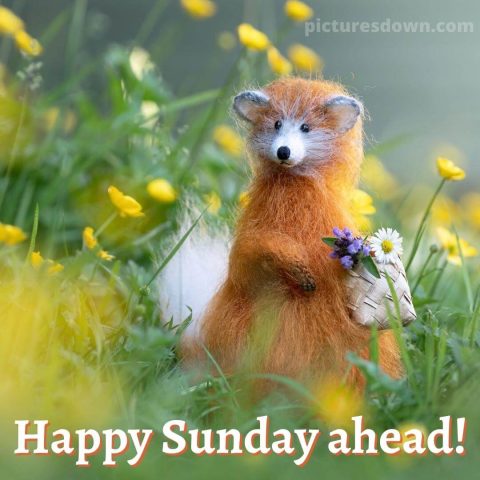 Good sunday morning image mousy free download
