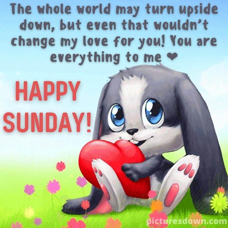 Good morning sunday love image bunny free download