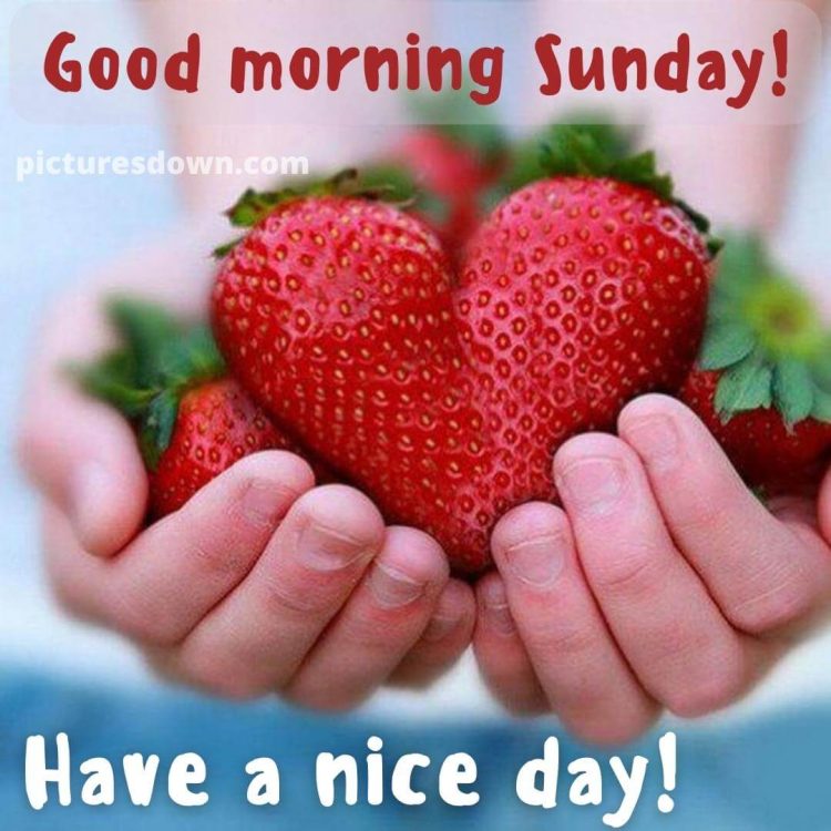 Good morning sunday love image strawberry free download