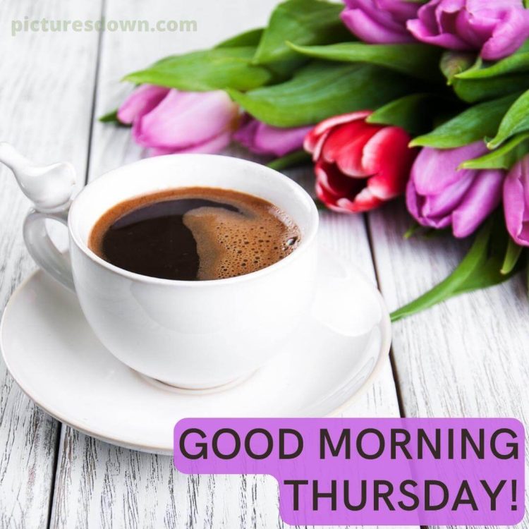 Thursday morning coffee image tulips free download