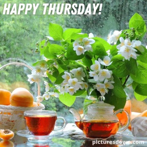 Good morning thursday image flowers free download