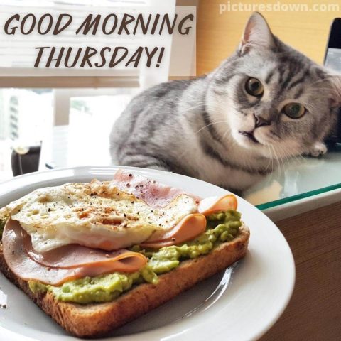Good thursday morning picture sandwich free download