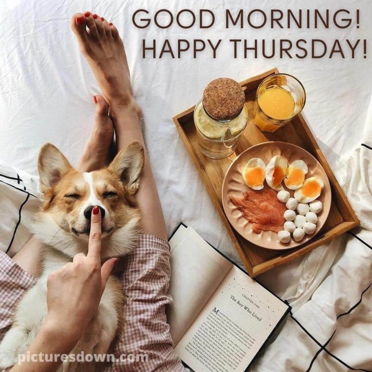Good morning thursday image dog and breakfast free download