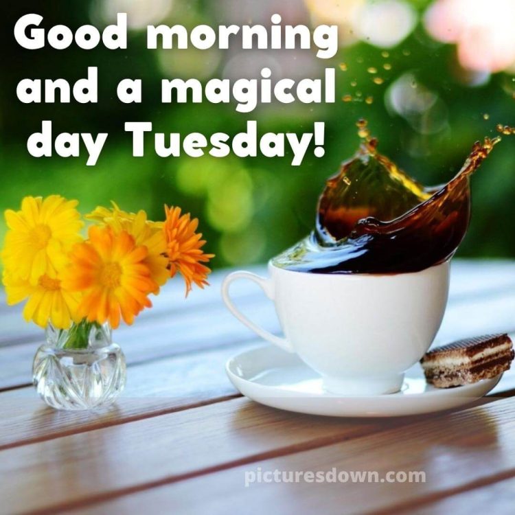 Good morning tuesday coffee picture yellow flowers free download