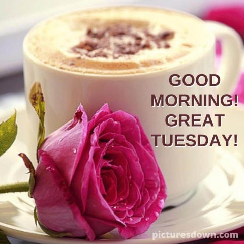 Good morning tuesday coffee image flower free download