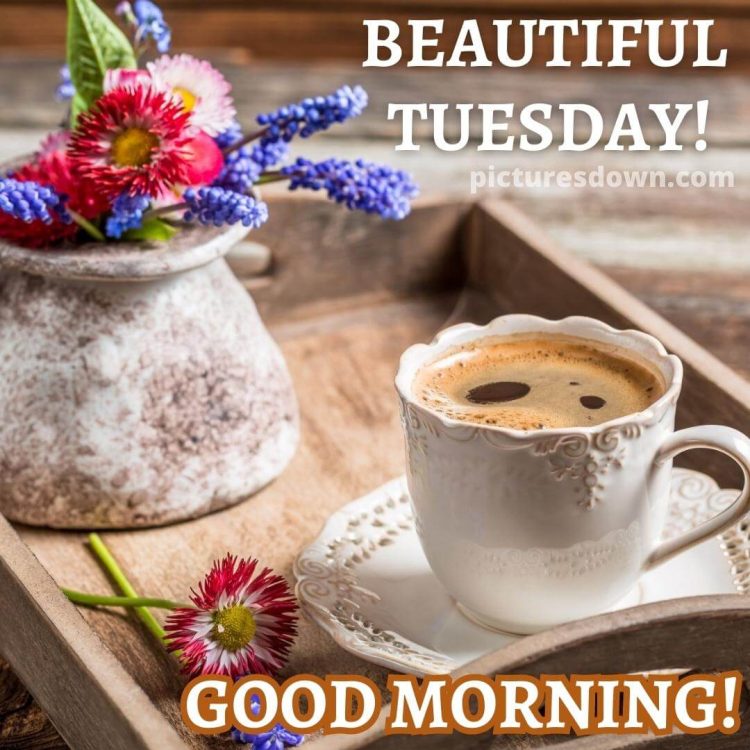 Good morning tuesday coffee image wildflowers free download