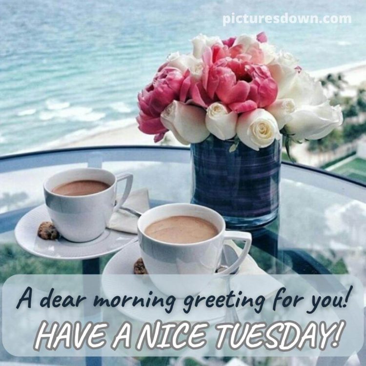 Good morning tuesday coffee image flowers and sea free download