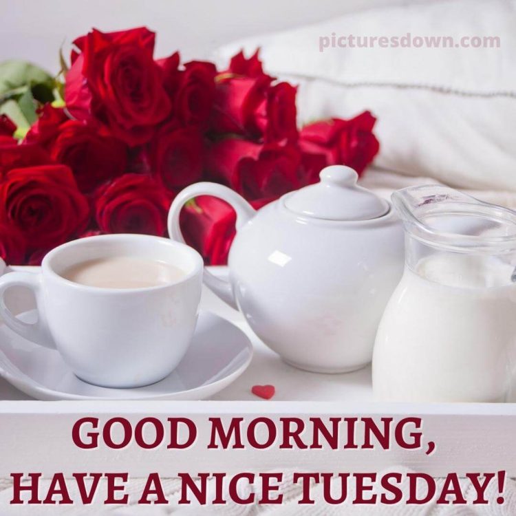 Good morning tuesday coffee picture Red roses free download