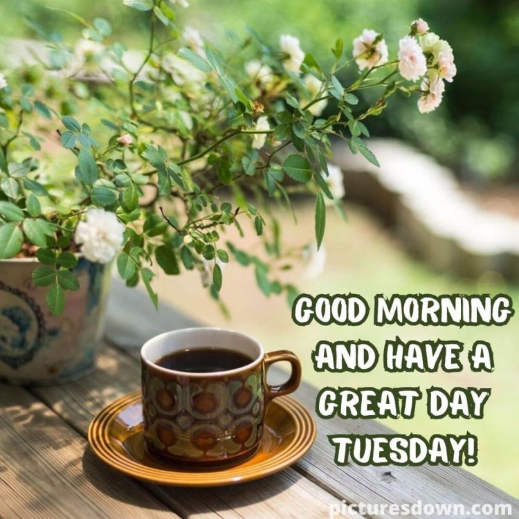 Good morning tuesday coffee picture wild roses free download