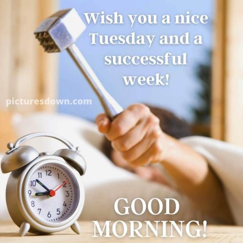Good morning tuesday funny image alarm free download