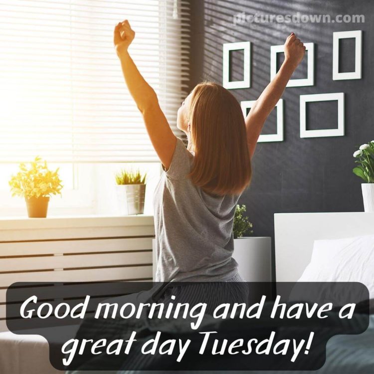 Good morning tuesday picture window free download