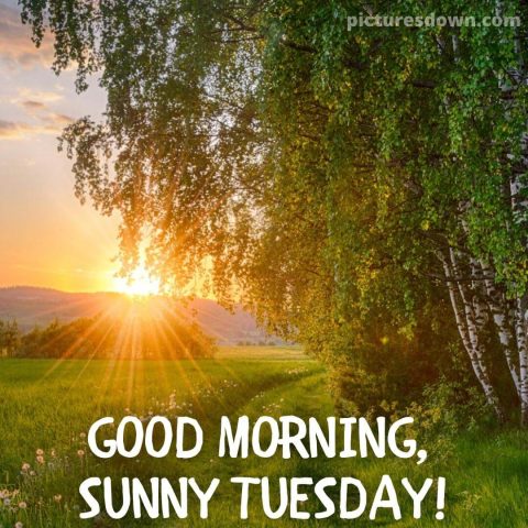 Good morning tuesday picture sunrise free download