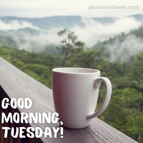 Image of good morning tuesday steam free download