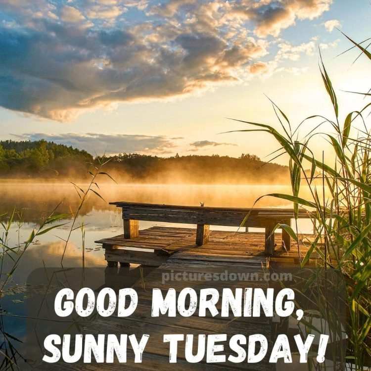 Image of good morning tuesday jetty free download