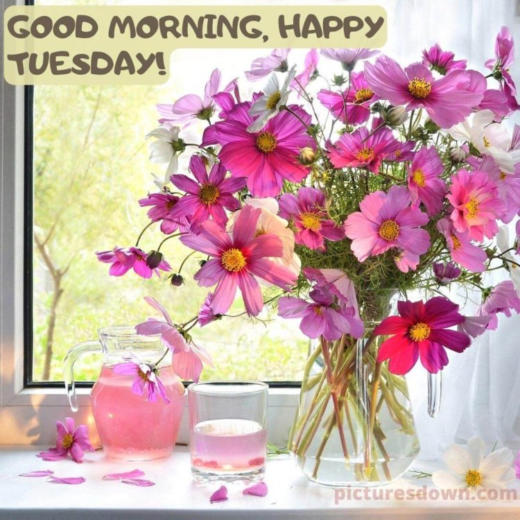 Image of good morning tuesday flowers free download