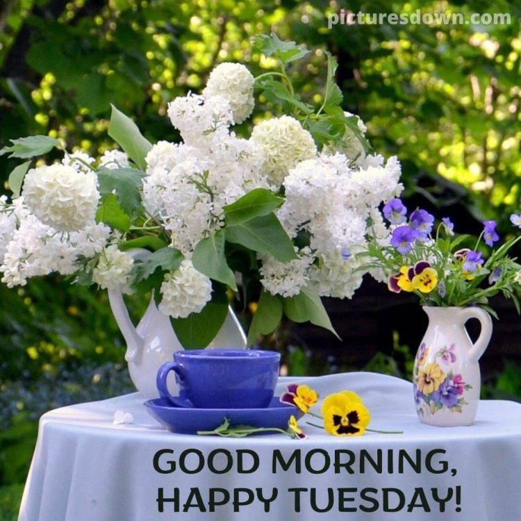 Image of good morning tuesday flowers in a vase free download