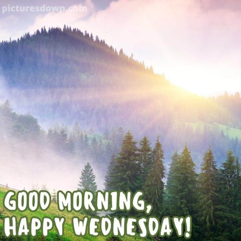 Good wednesday morning picture forest free download