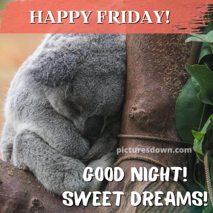 Good night friday image koala free download