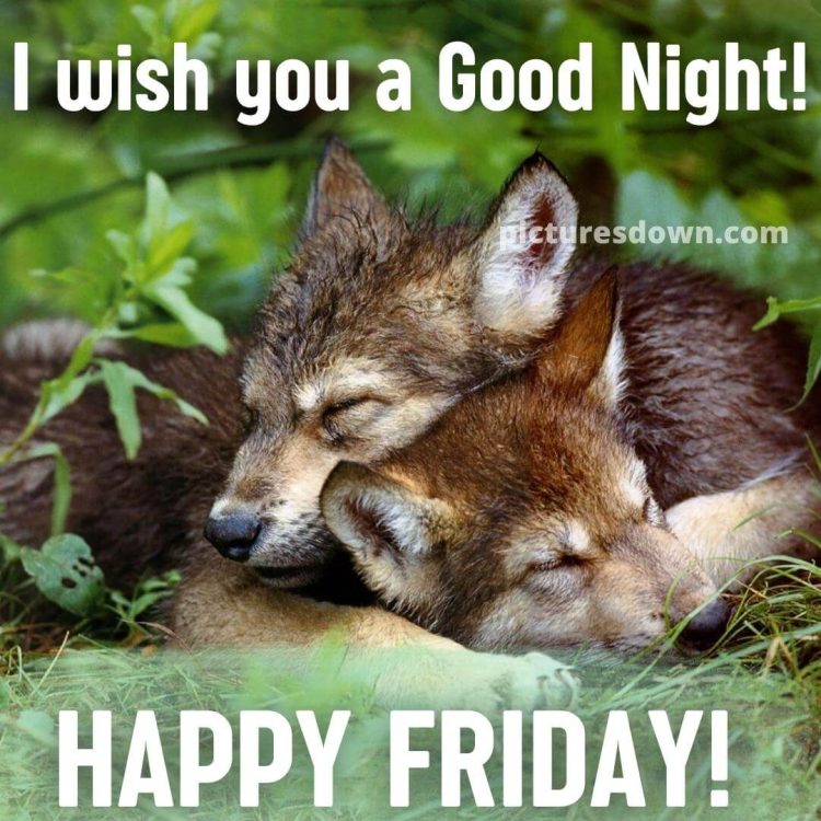 Good night friday image two wolf free download