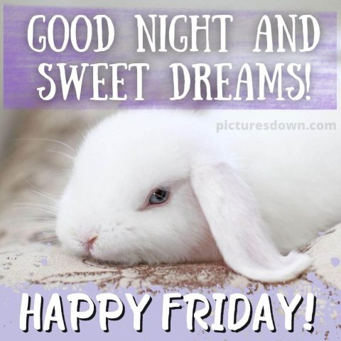 Good night friday image rabbit free download
