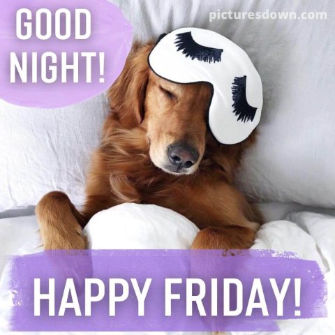 Good night friday image masked dog free download