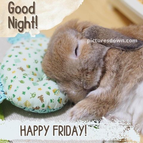 Good night friday image rabbit in bed free download
