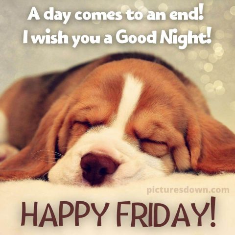 Good night friday picture dog free download