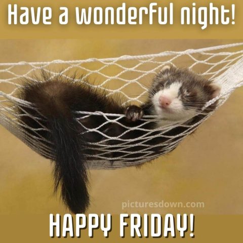 Good night friday image weasel free download