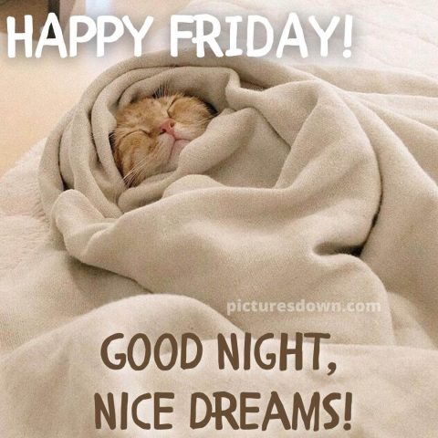 Good night friday picture cat in a blanket free download