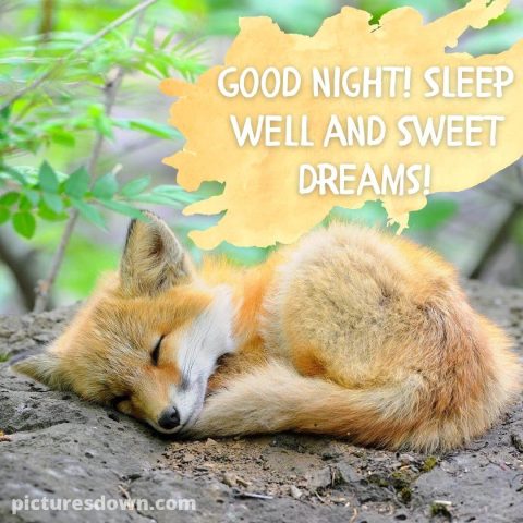 Good night friday image fox free download
