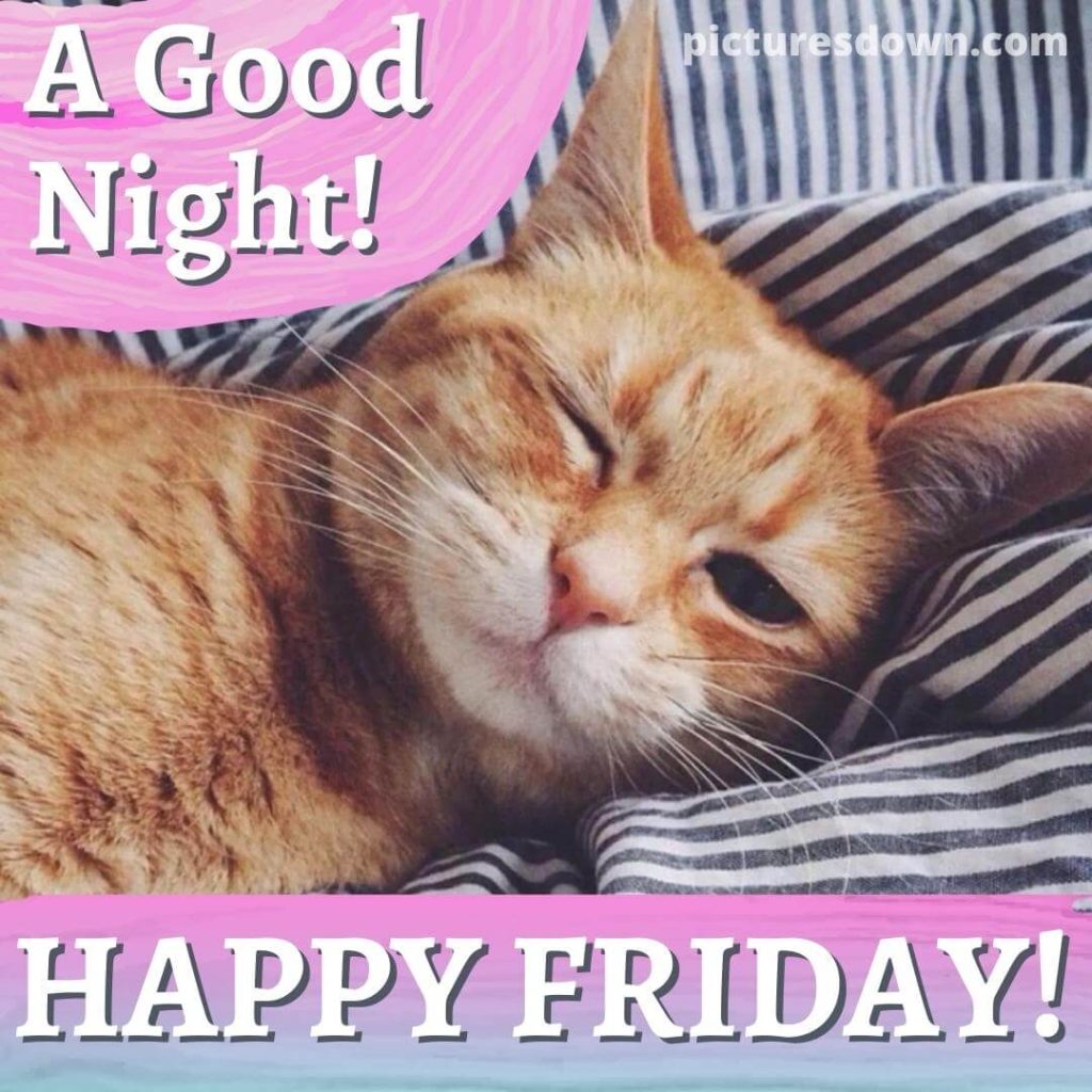 Good night friday image cat free - picturesdown.com