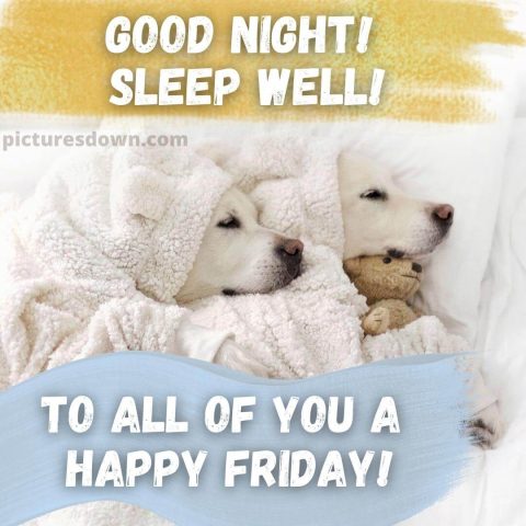 Good night friday image two dogs free download
