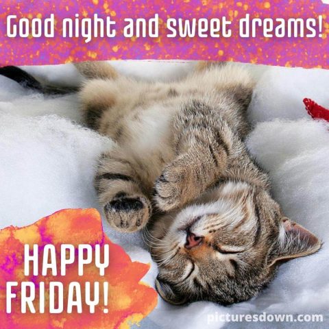 Good night friday image cat in bed free download