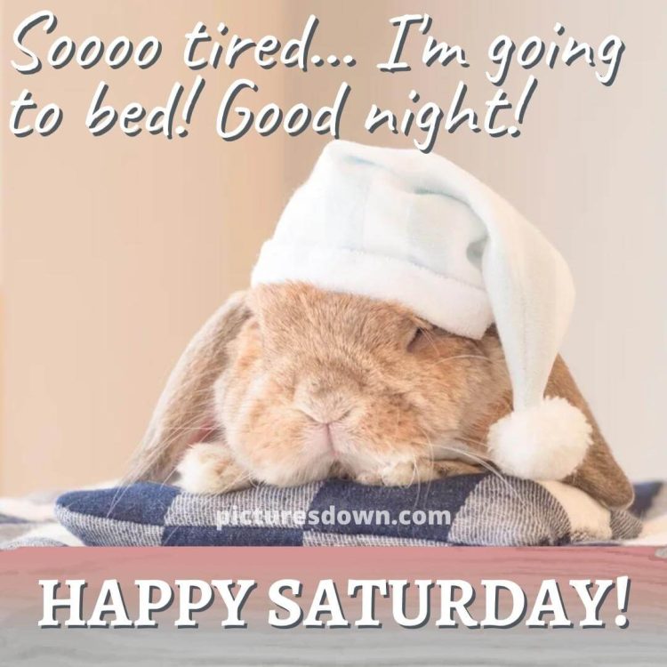 Good night saturday image rabbit in a hat free download