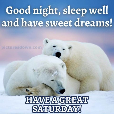 Good night saturday image white bears free download